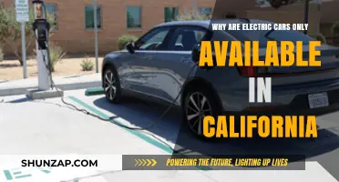 Why California Dominates the Electric Car Market: Key Factors Explained