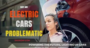 Electric Cars: Uncovering Hidden Challenges and Sustainability Concerns