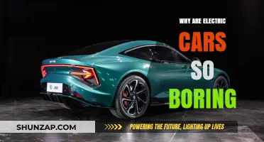 Electric Cars: Why the Silent Revolution Lacks Excitement and Thrill