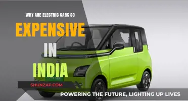 Why Electric Cars in India Remain a Costly Investment
