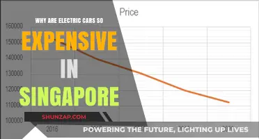 Why Singapore's Electric Car Prices Remain High: Key Factors Explained