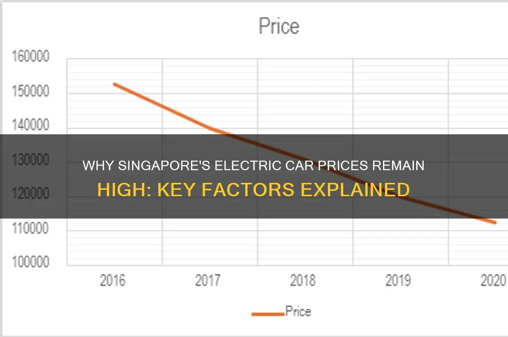 why are electric cars so expensive in singapore