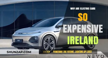 Why Electric Cars in Ireland Carry a Higher Price Tag