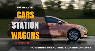 Why Electric Cars Are Embracing the Station Wagon Revival