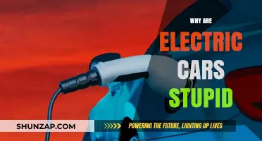Electric Cars: Overhyped, Underperforming, and Not as Green as Promised