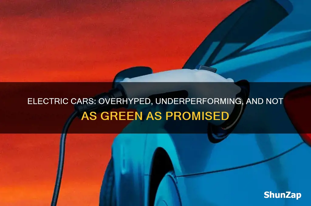 why are electric cars stupid