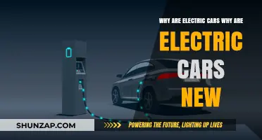 Why Electric Cars Are Revolutionizing the Automotive Industry Today