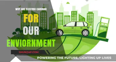 Electric Cars: Environmental Impact and Concerns