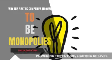 Electric Companies: Monopoly Power and its Legal Allowance