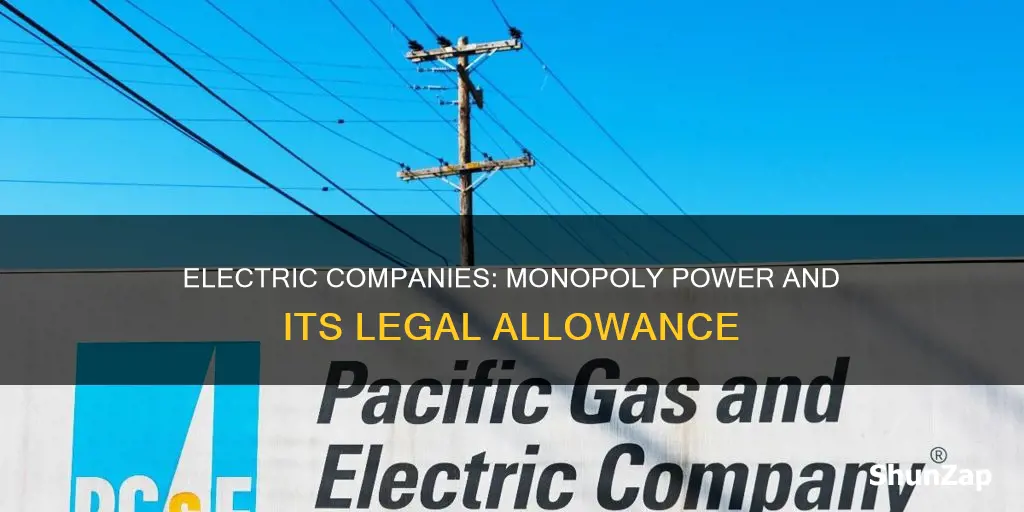 why are electric companies allowed to be monopolies