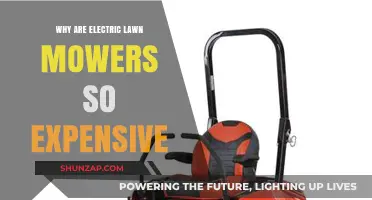 Electric Lawn Mowers: Costly, but Worth the Price?