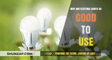 Eco-Friendly, Cost-Effective, and Efficient: The Benefits of Electric Lights