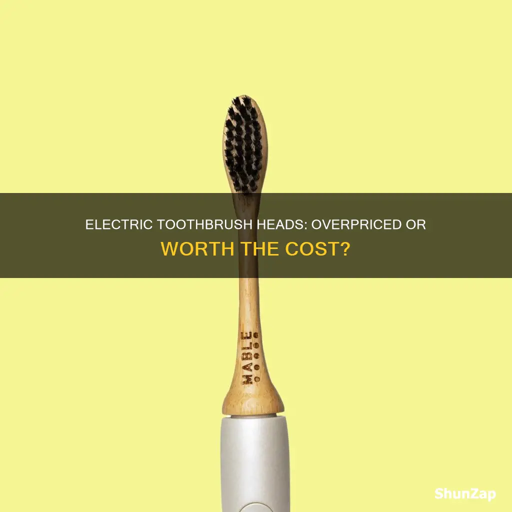 why are electric toothbrush heads so expensive