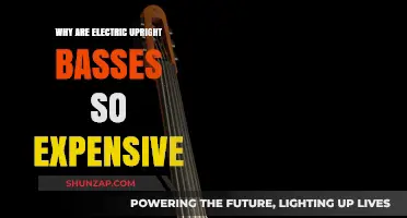 Electric Upright Basses: Premium Price, Premium Performance