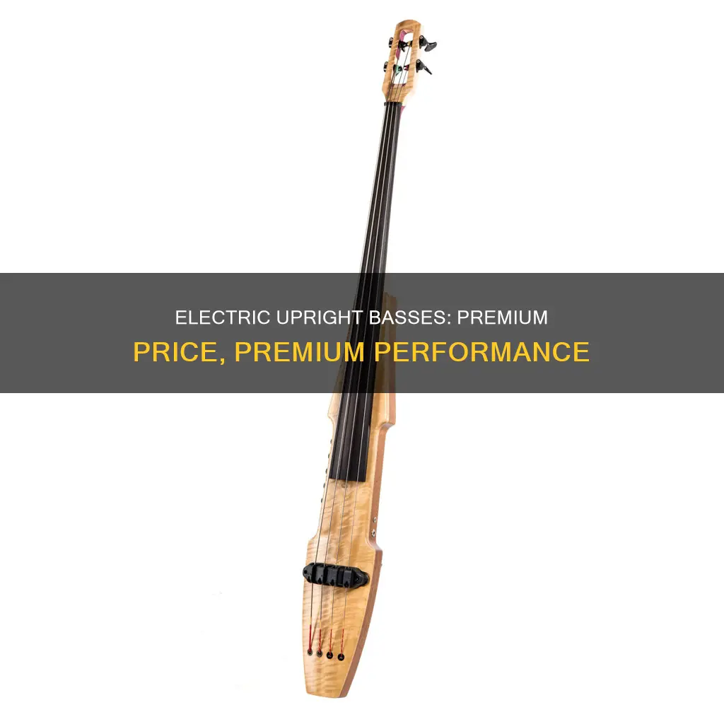 why are electric upright basses so expensive