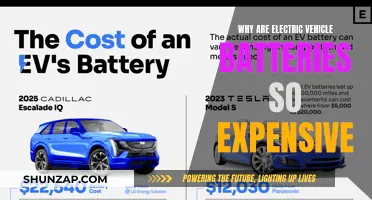 Unraveling the Mystery: Why EV Batteries Cost a Fortune