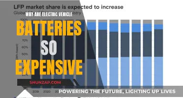 The High Cost of Electric Vehicle Batteries: Why?