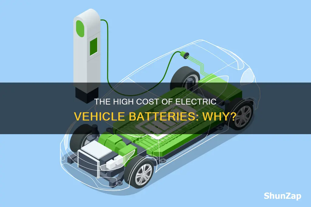 why are electric vehicle batteries so expensive
