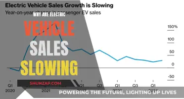 Electric Vehicle Sales Slowdown: Factors and Future Outlook