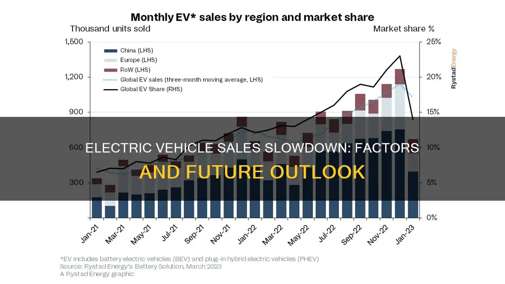 why are electric vehicle sales slowing