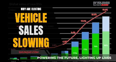 Electric Vehicle Sales Slow: What's the Reason?
