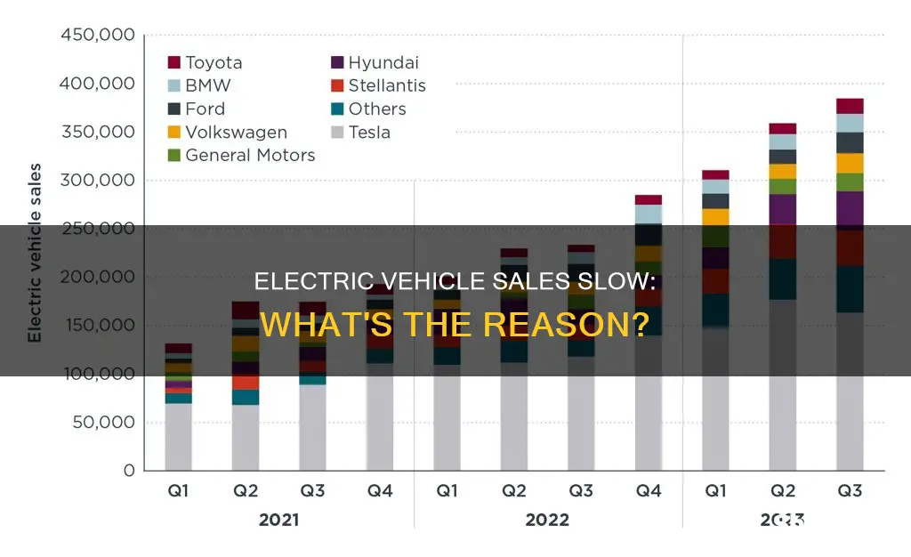 why are electric vehicle sales slowing