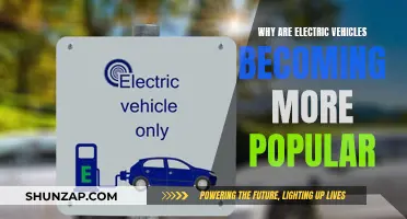 The Rise of Electric Vehicles: A Green Revolution