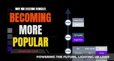 Electric Vehicles: The Future of Transportation?