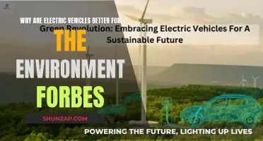 Green Revolution: Electric Vehicles Lead the Way to a Sustainable Future