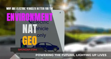 Electric Vehicles: Eco-Friendly, Sustainable, and Better for the Planet