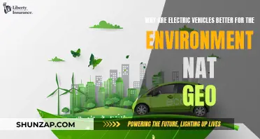 Electric Vehicles: Greener, Quieter Revolution on Our Roads