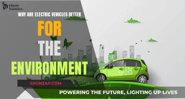 Green Revolution: Electric Vehicles Lead the Way to a Cleaner Planet