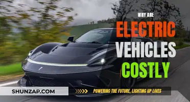 Electric Vehicles: Costly, But Why?