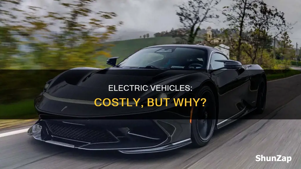 why are electric vehicles costly