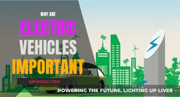 The Future is Electric: Why EVs Matter