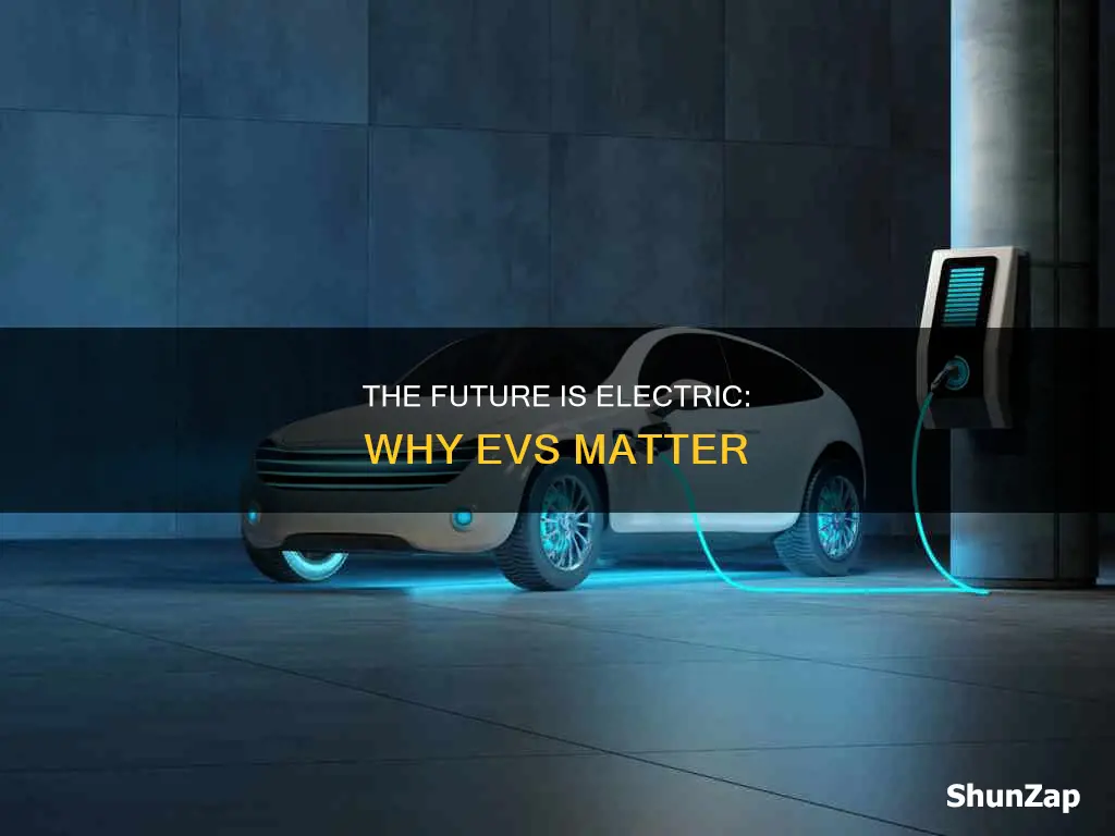 why are electric vehicles important