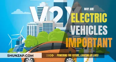 Electric Vehicles: The Future of Sustainable Transportation
