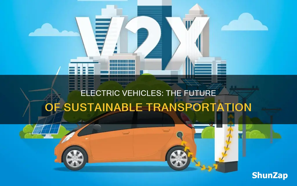 why are electric vehicles important