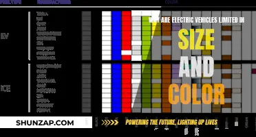 EVs' Size and Color Constraints: A Technical Deep Dive