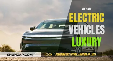 The Electric Evolution: Unlocking Luxury in Sustainable Driving