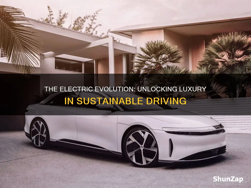 why are electric vehicles luxury