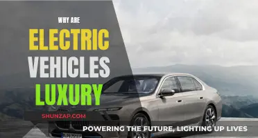 Electric Vehicles: Luxury, Performance, and the Future of Driving