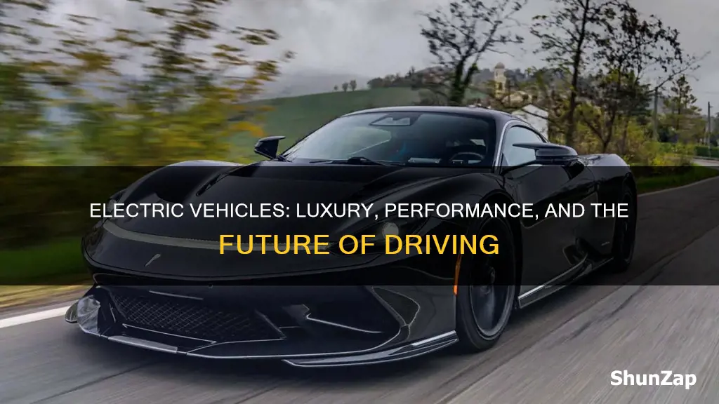 why are electric vehicles luxury