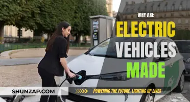 Electric Vehicles: Sustainable, Efficient, and the Future of Transport