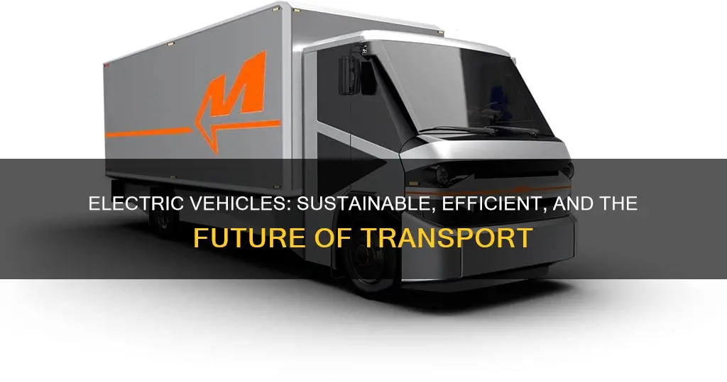 why are electric vehicles made