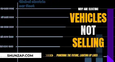 Electric Vehicles: Slow Sales and the Reasons Why