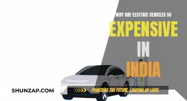 Electric Vehicles: Why the High Price Tag in India?