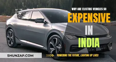 Electric Vehicles in India: Cost Conundrum