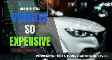 The High Cost of Electric Vehicles: Why So Expensive?