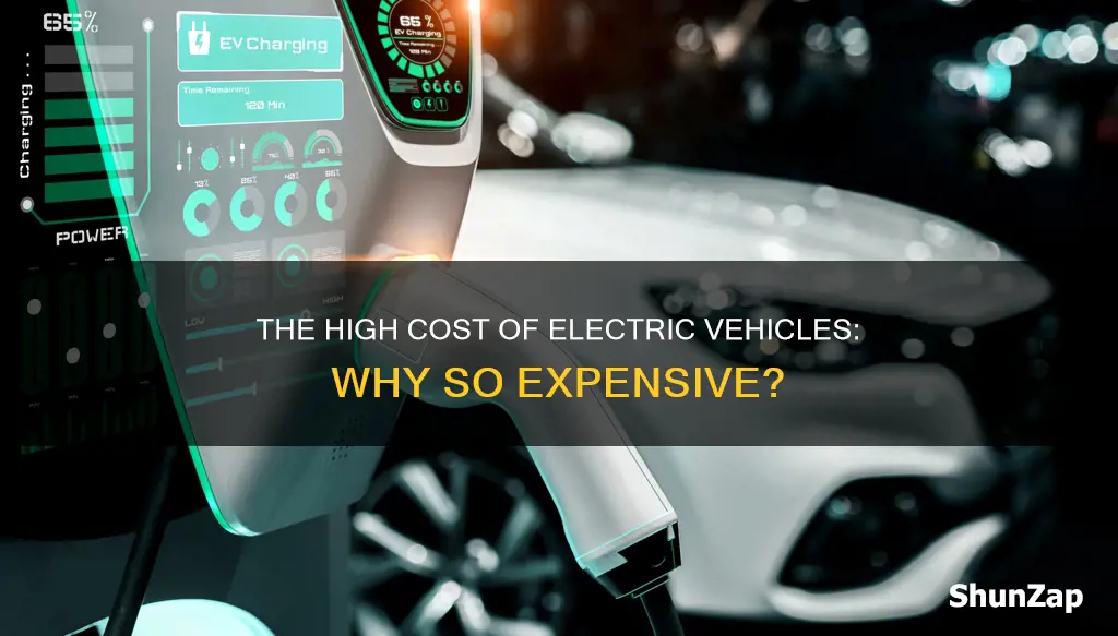 why are electric vehicles so expensive